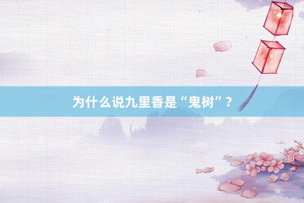 为什么说九里香是“鬼树”?