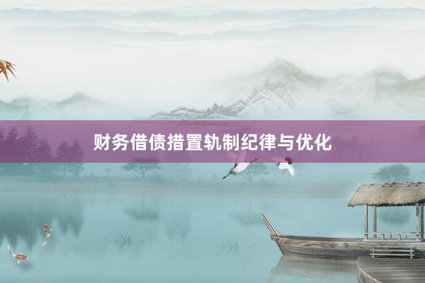 财务借债措置轨制纪律与优化